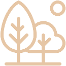 Icon Features