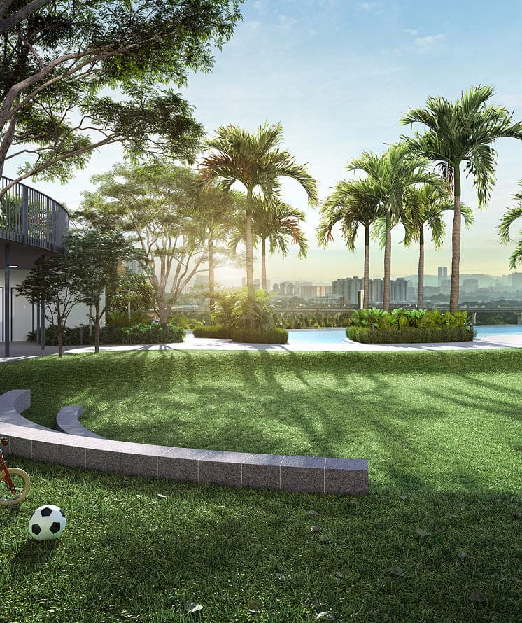 Pristine Lawn